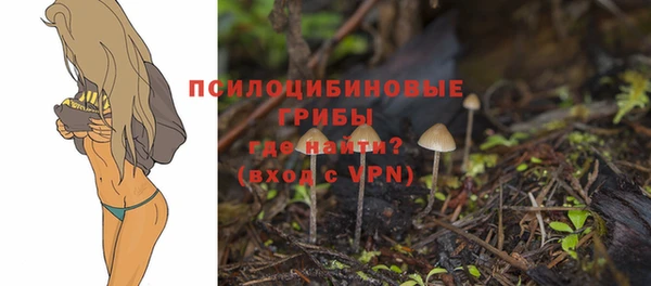 скорость mdpv Нефтекумск