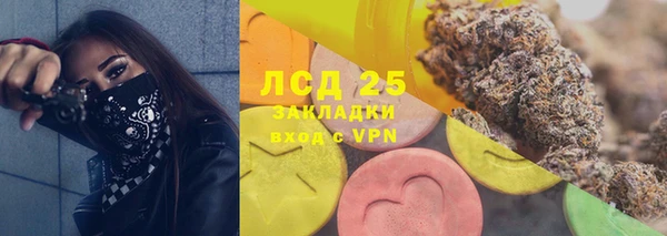 спайс Нея