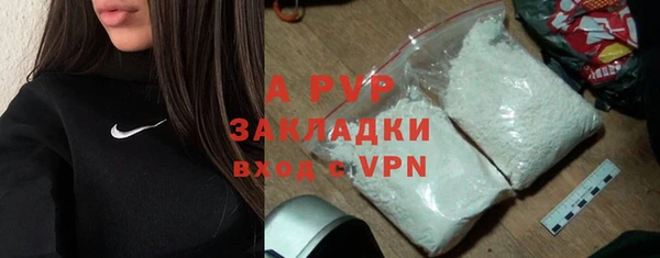 спайс Нея