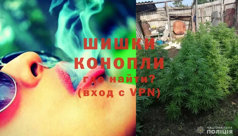 Бошки Шишки Ganja  Кедровый 