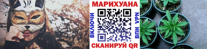 Каннабис конопля  наркотики  Кедровый 